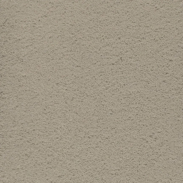 Close-up of the Dolce Family Friendly Carpet in Doe color, featuring a soft, dense pile and uniform texture. Its tightly packed fibers offer durability and even coloring, making it ideal for high-traffic, family spaces.