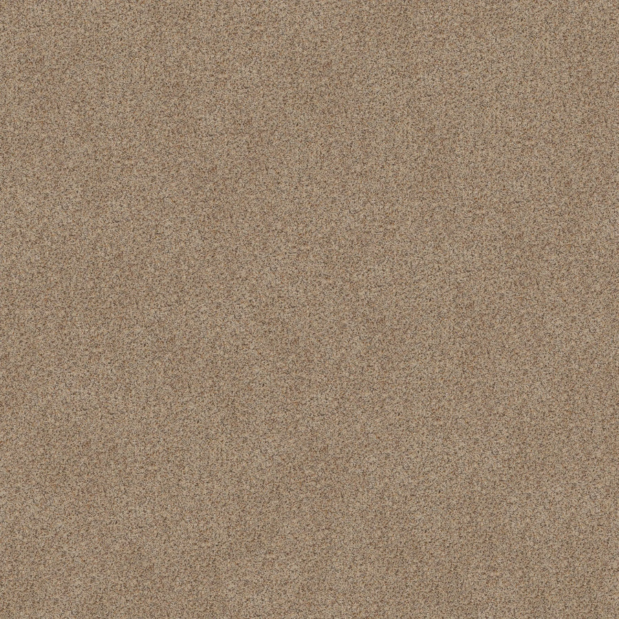 Close-up view of Canyon Lake Family Friendly Carpet in Dogwood, highlighting its fine, textured surface and uniform, natural pattern reminiscent of resilient contemporary flooring.