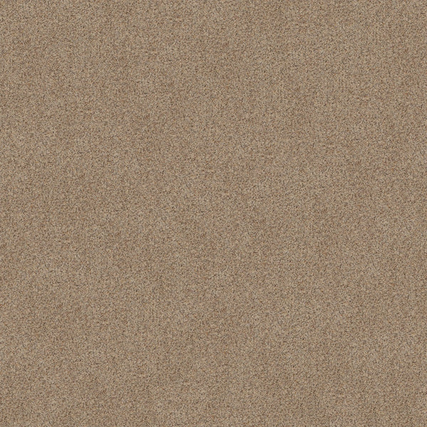 Close-up view of Canyon Lake Family Friendly Carpet in Dogwood, highlighting its fine, textured surface and uniform, natural pattern reminiscent of resilient contemporary flooring.