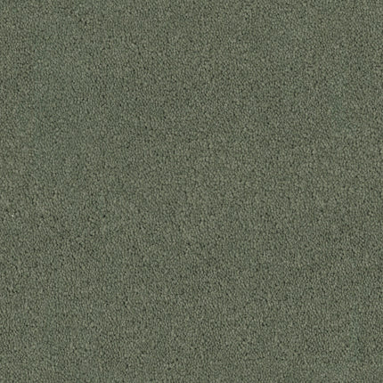 Close-up of Tribute Family Friendly Carpet in Dolce: a greenish-grey, stain-resistant carpet with a soft, dense pile and durable texture. The even, plush surface has slight shading variations for a sophisticated look.