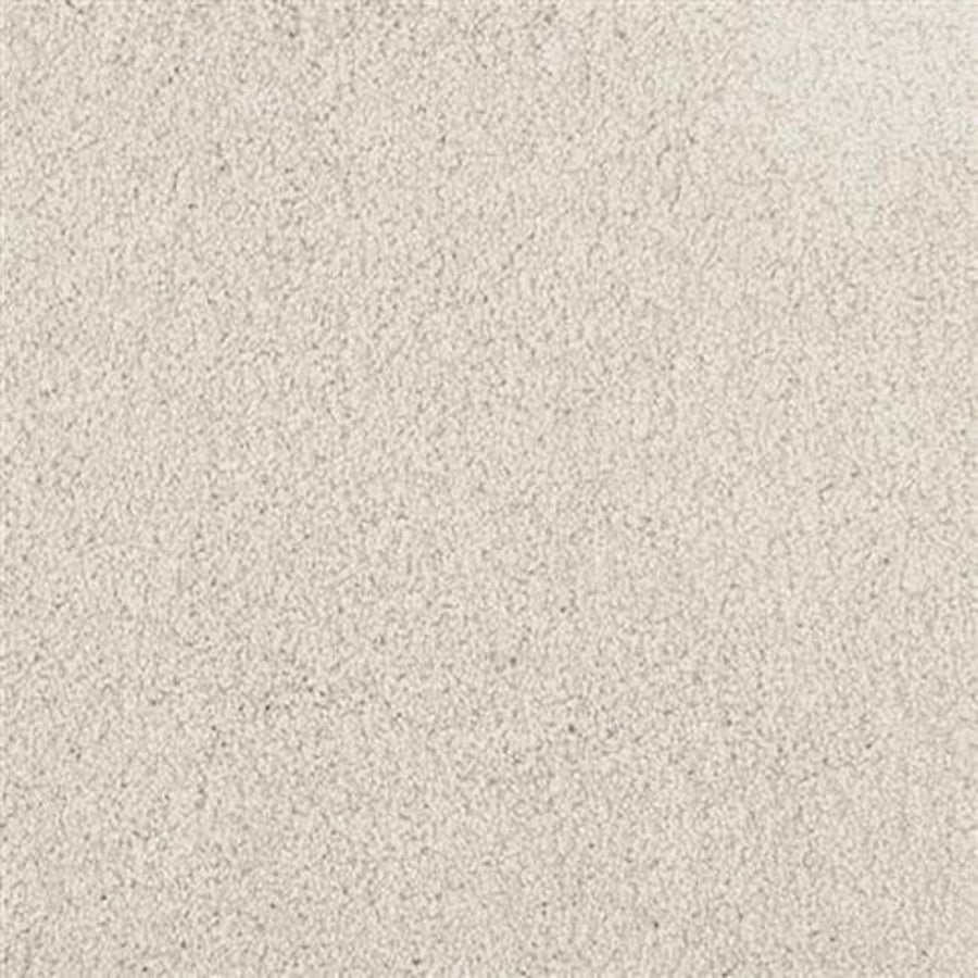 Close-up of Oceanside Family Friendly Carpet in Dove Tail, highlighting its soft, plush surface—ideal for comfortable, durable flooring in any family space.