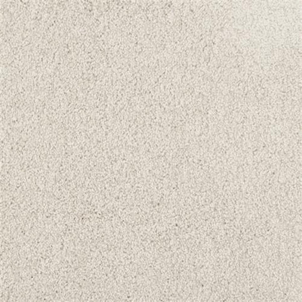Close-up of Oceanside Family Friendly Carpet in Dove Tail, highlighting its soft, plush surface—ideal for comfortable, durable flooring in any family space.