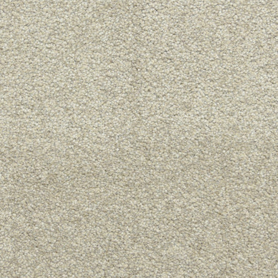 Close-up view of Maroon Bells Family Friendly Carpet in Driftwood—a dense, looped pile surface with uniform color and soft, plush feel, perfect for cozy living spaces.