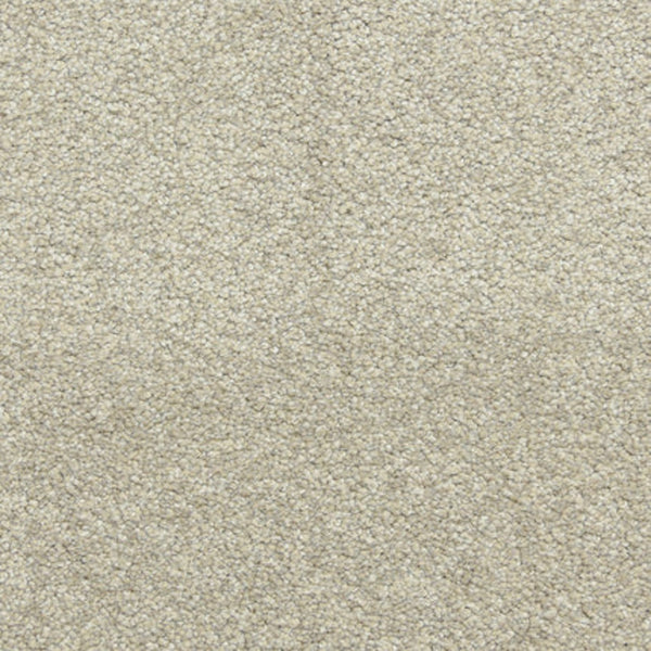 Close-up view of Maroon Bells Family Friendly Carpet in Driftwood—a dense, looped pile surface with uniform color and soft, plush feel, perfect for cozy living spaces.