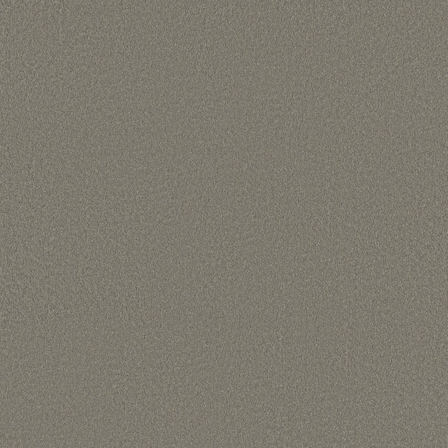 Close-up of Smooth Tone Pet Friendly Carpet in Driftwood color, showing its textured gray surface with a grainy, slightly uneven pattern reminiscent of durable carpeting.