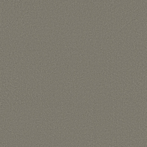 Close-up of Smooth Tone Pet Friendly Carpet in Driftwood color, showing its textured gray surface with a grainy, slightly uneven pattern reminiscent of durable carpeting.