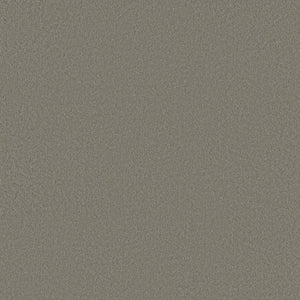 A close-up of Classic Tone Blue Pet Friendly Carpet in Driftwood color, showing a textured, speckled surface reminiscent of glitter or brushed metal, highlighting its durable, resilient design.
