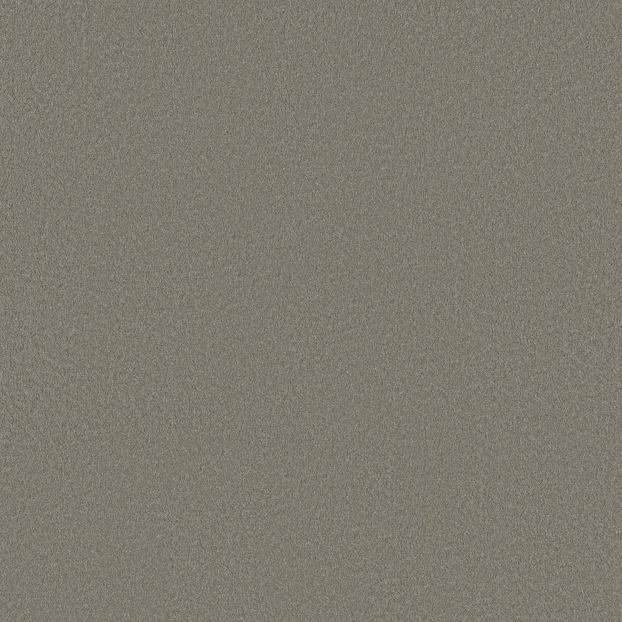 A close-up of Classic Tone Pet Friendly Carpet in Driftwood shows a textured, silver-grey glitter-like surface with dense, shiny particles for a uniform, stain-resistant appearance.