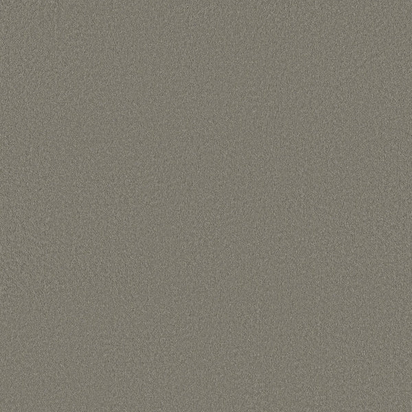 A close-up of Classic Tone Pet Friendly Carpet in Driftwood shows a textured, silver-grey glitter-like surface with dense, shiny particles for a uniform, stain-resistant appearance.