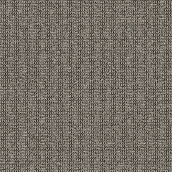 A close-up of Knitted Tone Pet Friendly Carpet in Driftwood, showcasing its gray woven fabric with a uniform, tightly knit texture and small, evenly spaced loops—ideal for high-traffic areas.
