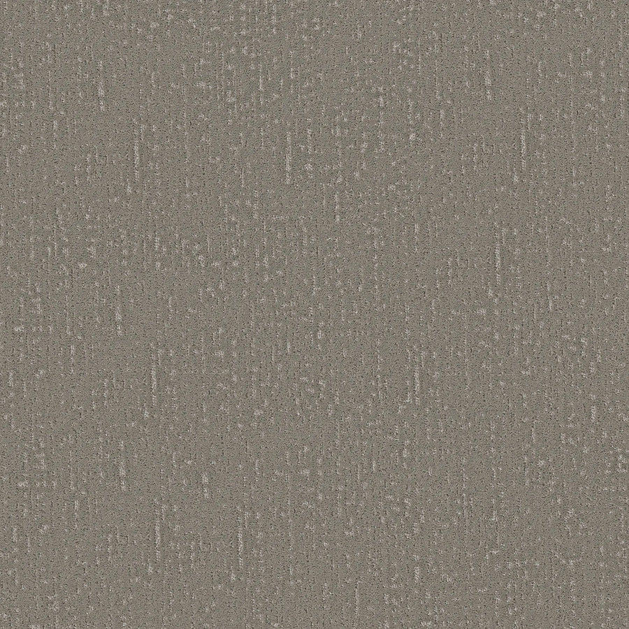 Curated Tone Blue Pet Friendly Carpet in Driftwood is a stain-resistant, durable carpet with a speckled gray appearance and scattered light and dark dots—perfect for modern living spaces with pets.