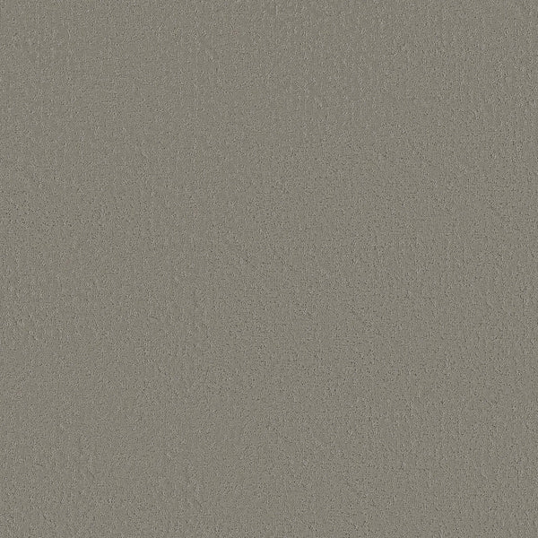 Close-up of Crafted Tone Pet Friendly Carpet in Driftwood—a smooth, light gray surface with a subtle, slightly rough texture and irregular patterns, combining durability with pet-friendly, stain-resistant performance.