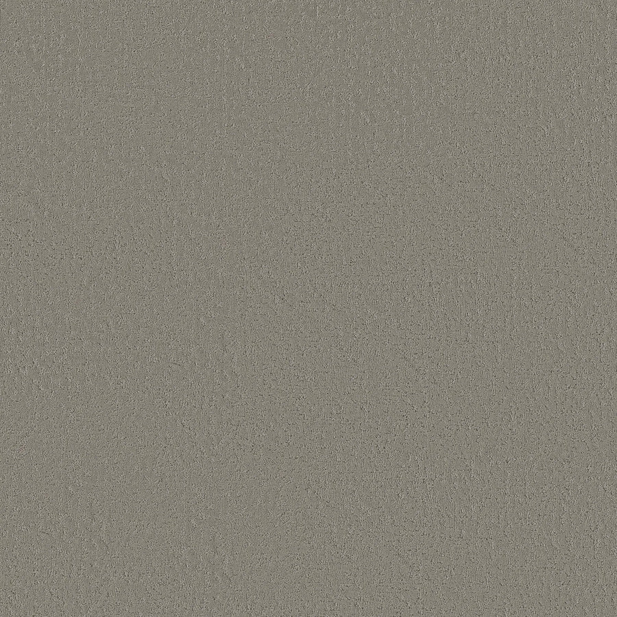 A close-up of Crafted Tone Blue Pet Friendly Carpet in Driftwood color reveals a textured, gray surface with subtle color variations and hints of durability, reminiscent of concrete, and designed to resist stains—perfect for homes with pets.