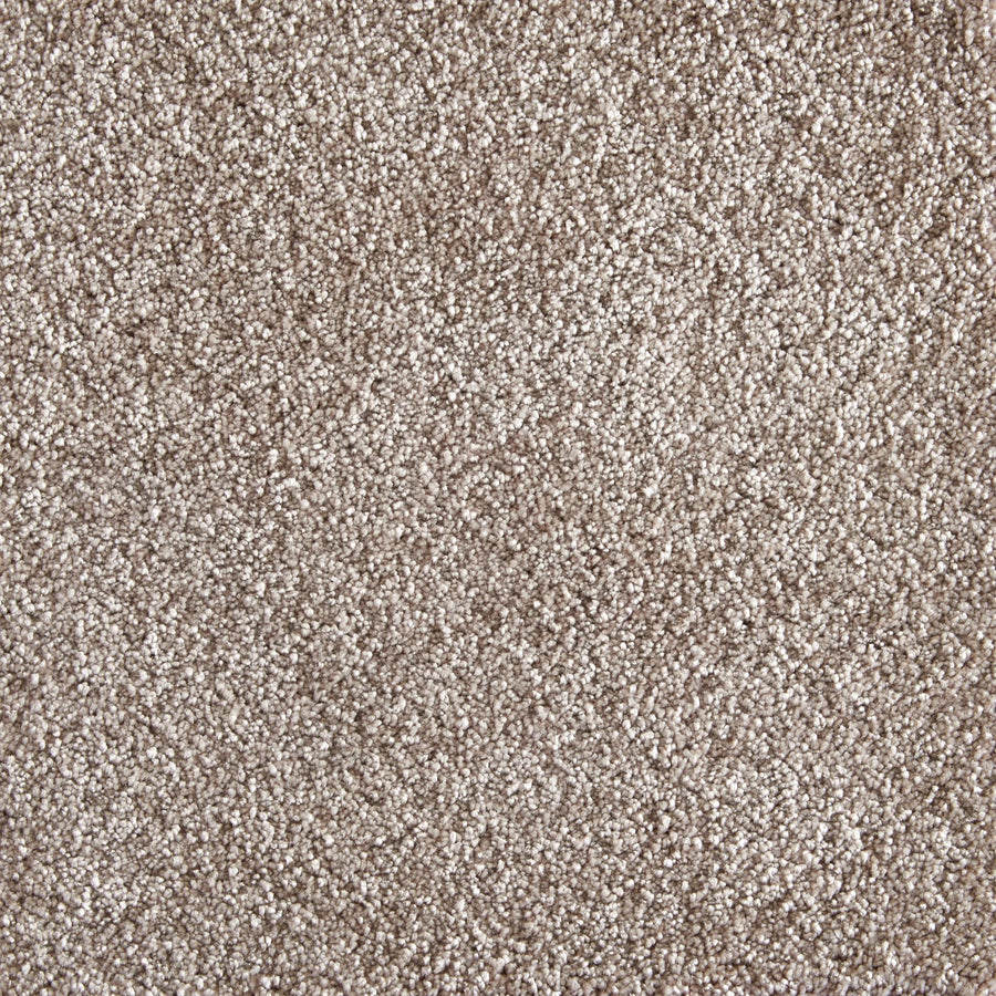 Close-up of Jazzy Family Friendly Carpet in Dune, highlighting its soft, textured fibers with a subtle speckled pattern—perfect durable flooring for high-traffic areas.