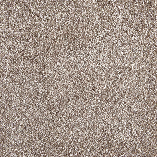 Close-up of Jazzy Family Friendly Carpet in Dune, highlighting its soft, textured fibers with a subtle speckled pattern—perfect durable flooring for high-traffic areas.