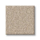 Imaginable I Family Friendly Carpet - Dunes