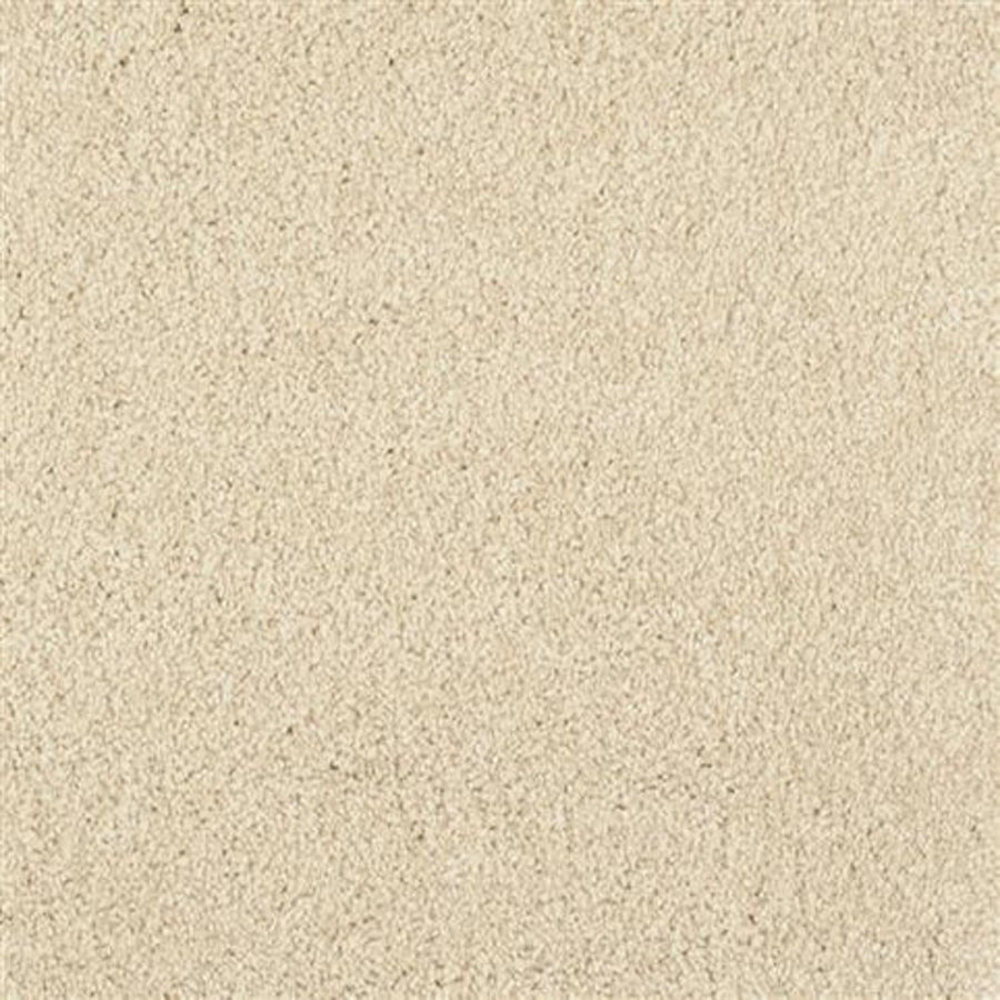 Close-up view of Oceanside Family Friendly Carpet in Dunes color, showing its soft, textured plush surface and uniform appearance—ideal for family spaces.