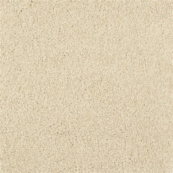 Close-up view of Oceanside Family Friendly Carpet in Dunes color, showing its soft, textured plush surface and uniform appearance—ideal for family spaces.