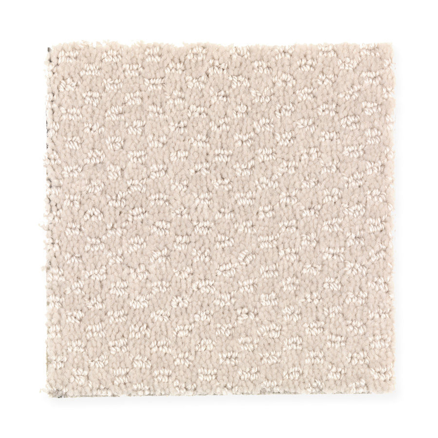 A square swatch of Dynamo Family Friendly Carpet in Swan, a light beige shade with a subtle textured pattern, is displayed on a white background.
