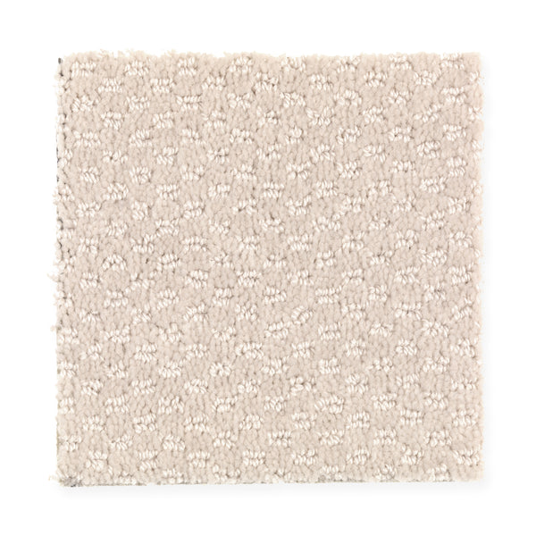 A square swatch of Dynamo Family Friendly Carpet in Swan, a light beige shade with a subtle textured pattern, is displayed on a white background.