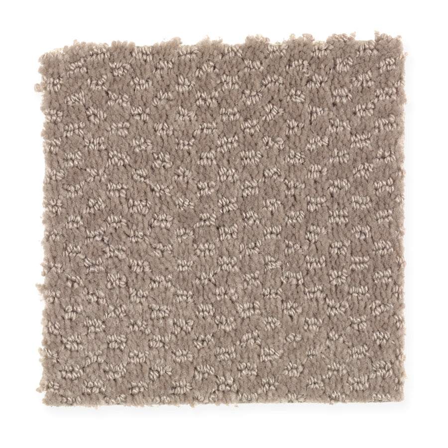 A square sample of Dynamo Family Friendly Carpet in Taupe Treasure, featuring a plush, textured surface with a subtle dot pattern. Its slightly uneven edges highlight the carpet’s comforting thickness and inviting feel.
