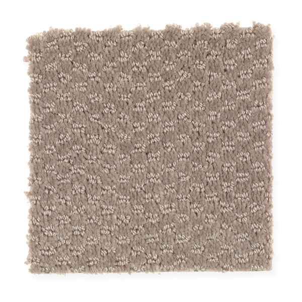 A square sample of Dynamo Family Friendly Carpet in Taupe Treasure, featuring a plush, textured surface with a subtle dot pattern. Its slightly uneven edges highlight the carpet’s comforting thickness and inviting feel.