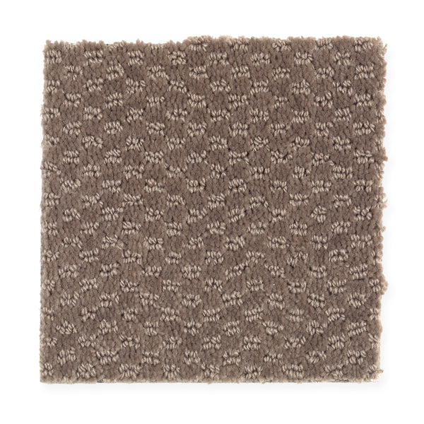A square swatch of Dynamo Family Friendly Carpet in Wild Frontier, featuring durable, textured brown fibers with a subtle repeating geometric pattern on a white background.