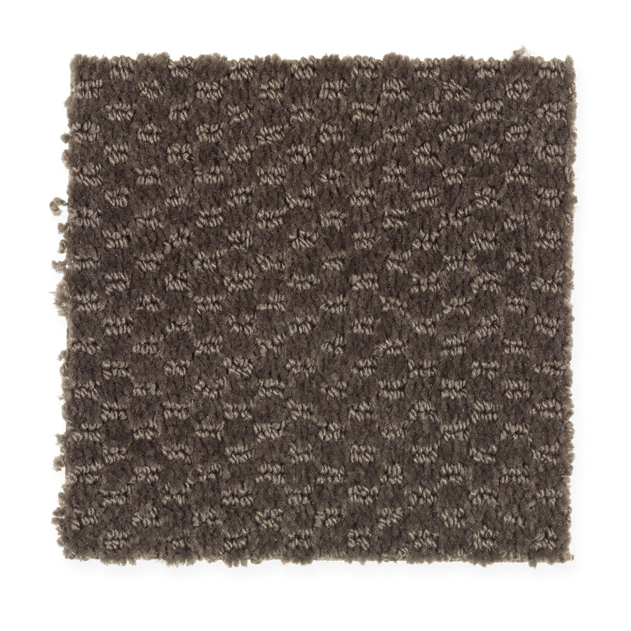 A rectangular swatch of Dynamo Family Friendly Carpet in Cigar Leaf, featuring a dark brown textured surface with a subtle geometric pattern and slightly uneven edges, displayed against a white background.