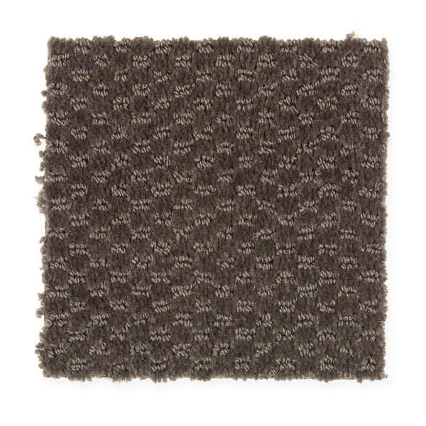 A rectangular swatch of Dynamo Family Friendly Carpet in Cigar Leaf, featuring a dark brown textured surface with a subtle geometric pattern and slightly uneven edges, displayed against a white background.