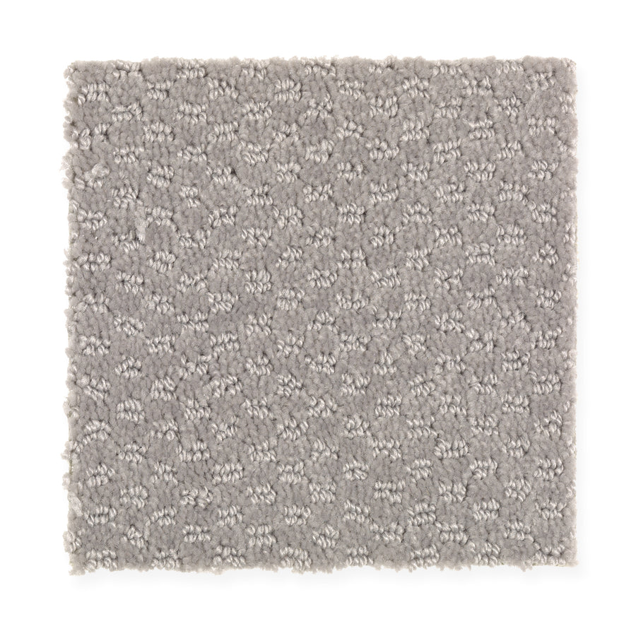 A square sample of Dynamo Family Friendly Carpet in Putty Gray, featuring a soft, textured pattern of small raised loops for comfort and style.