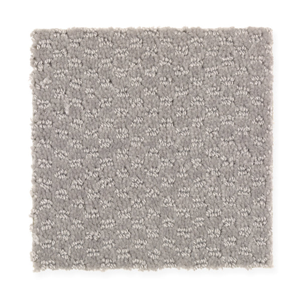 A square sample of Dynamo Family Friendly Carpet in Putty Gray, featuring a soft, textured pattern of small raised loops for comfort and style.