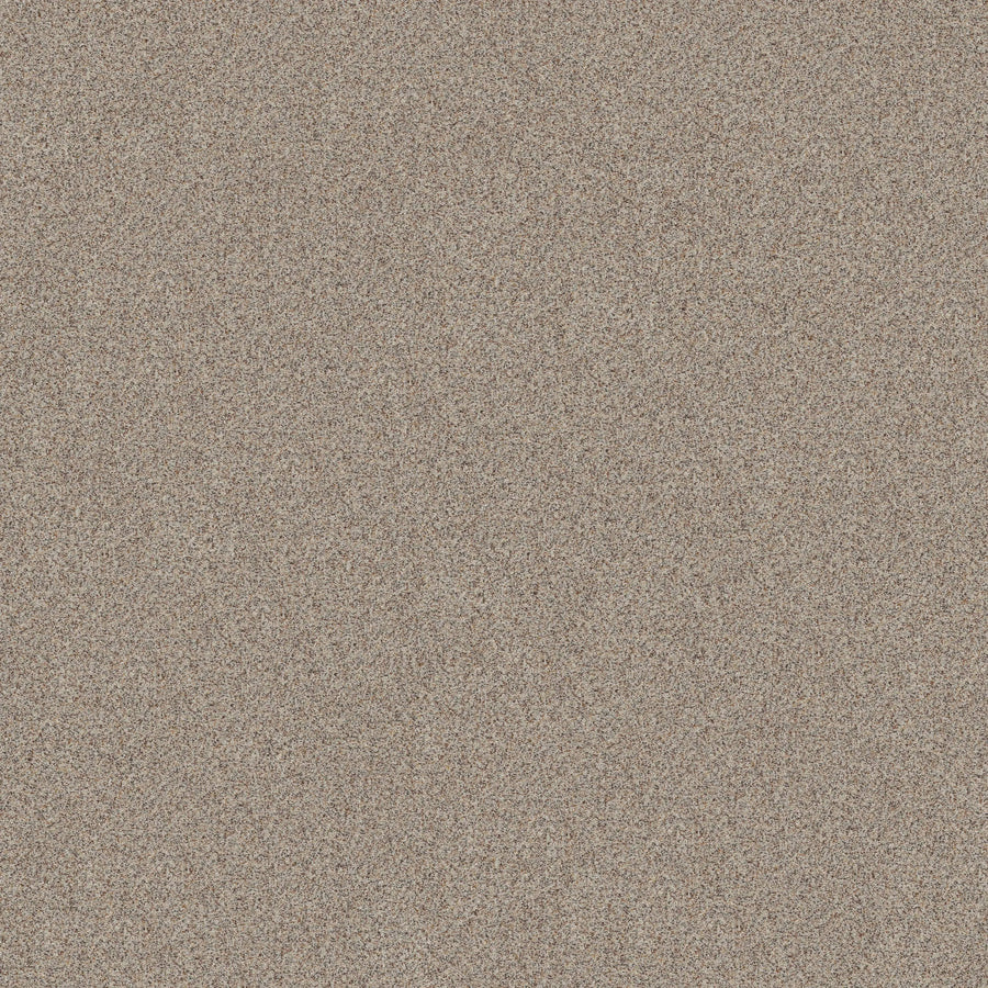 Close-up view of Canyon Lake Family Friendly Carpet in Eclipse color, showcasing its fine, multicolored texture—mainly light brown, tan, and beige—evoking the resilient and durable feel of modern flooring with no visible objects or patterns.