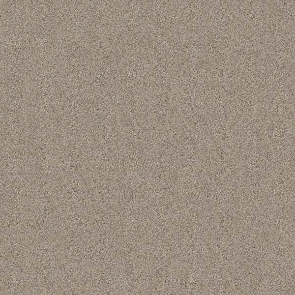 Close-up view of Canyon Lake Family Friendly Carpet in Eclipse color, showcasing its fine, multicolored texture—mainly light brown, tan, and beige—evoking the resilient and durable feel of modern flooring with no visible objects or patterns.