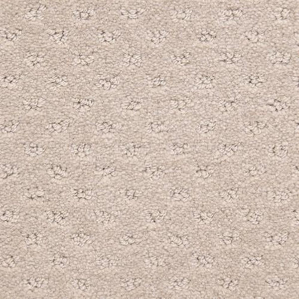 Close-up of Dreamer On Trend Carpet in Ecru, featuring plush fibers, a subtle dotted texture, and small, evenly spaced floral-like patterns across the surface.