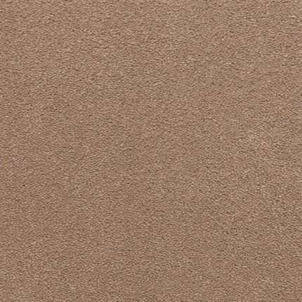 A close-up of Grand Isle Family Friendly Carpet in Edgewood shows its uniform, dense, and slightly rough brown texture—perfect for a cozy, family-friendly space.