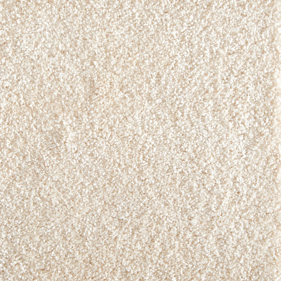 Close-up view of Jazzy Family Friendly Carpet in eggshell color, featuring a soft, plush surface and uniform pattern—an elegant and durable flooring choice ideal for high-traffic areas.