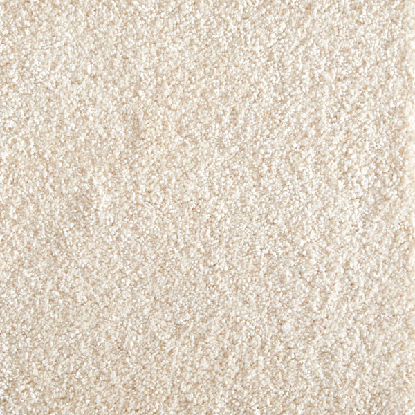 Close-up view of Jazzy Family Friendly Carpet in eggshell color, featuring a soft, plush surface and uniform pattern—an elegant and durable flooring choice ideal for high-traffic areas.