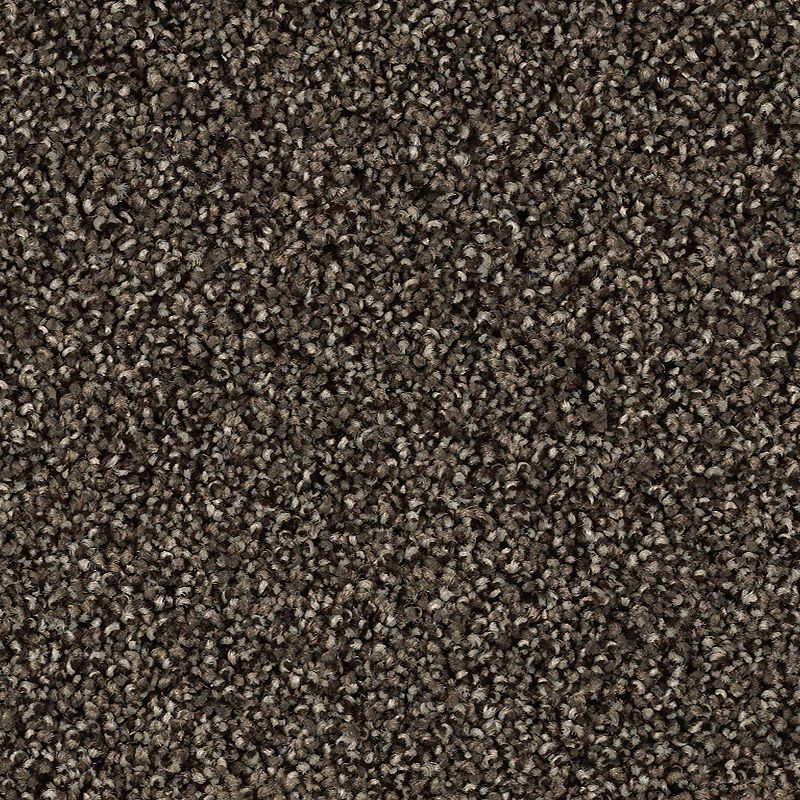 Close-up view of Shaded Escape Family Friendly Carpet in Electron—dark brown, tightly packed loop pile fibers create a durable, dense, and uniform surface ideal for active families.