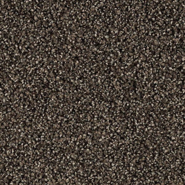 Close-up view of Shaded Escape Family Friendly Carpet in Electron—dark brown, tightly packed loop pile fibers create a durable, dense, and uniform surface ideal for active families.