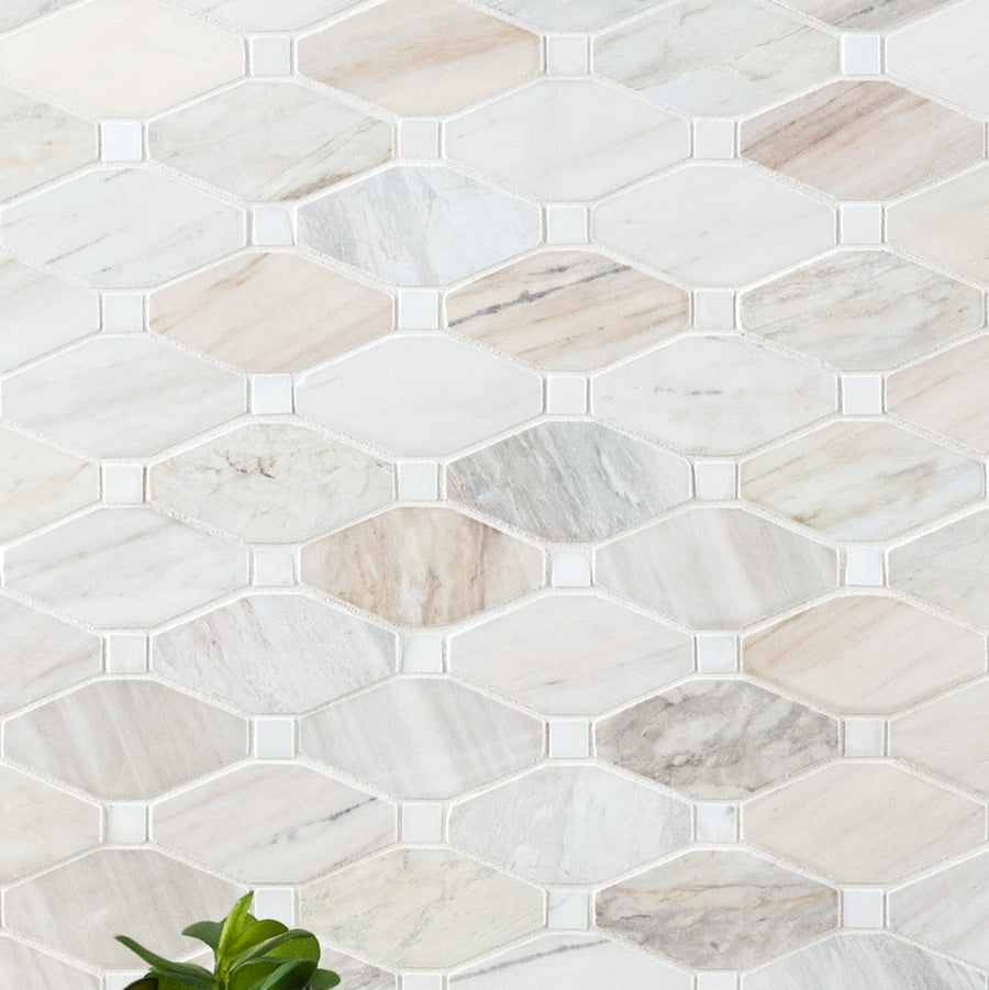 Angora Elongated Octagon Mosaic tiles in elongated octagon shapes form a stylish geometric wall pattern, with a green succulent partially visible at the bottom.