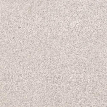 Close-up of Grand Isle Family Friendly Carpet in Embers color, featuring a soft, even surface with a uniform, slightly fuzzy texture for a luxurious look.