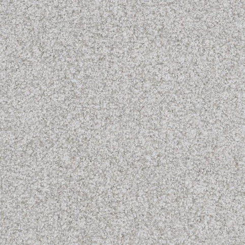 Close-up of Boca Raton Family Friendly Carpet in Endless color, featuring a light gray, speckled pattern and soft, plush texture—crafted from premium materials for durable, family-friendly flooring.
