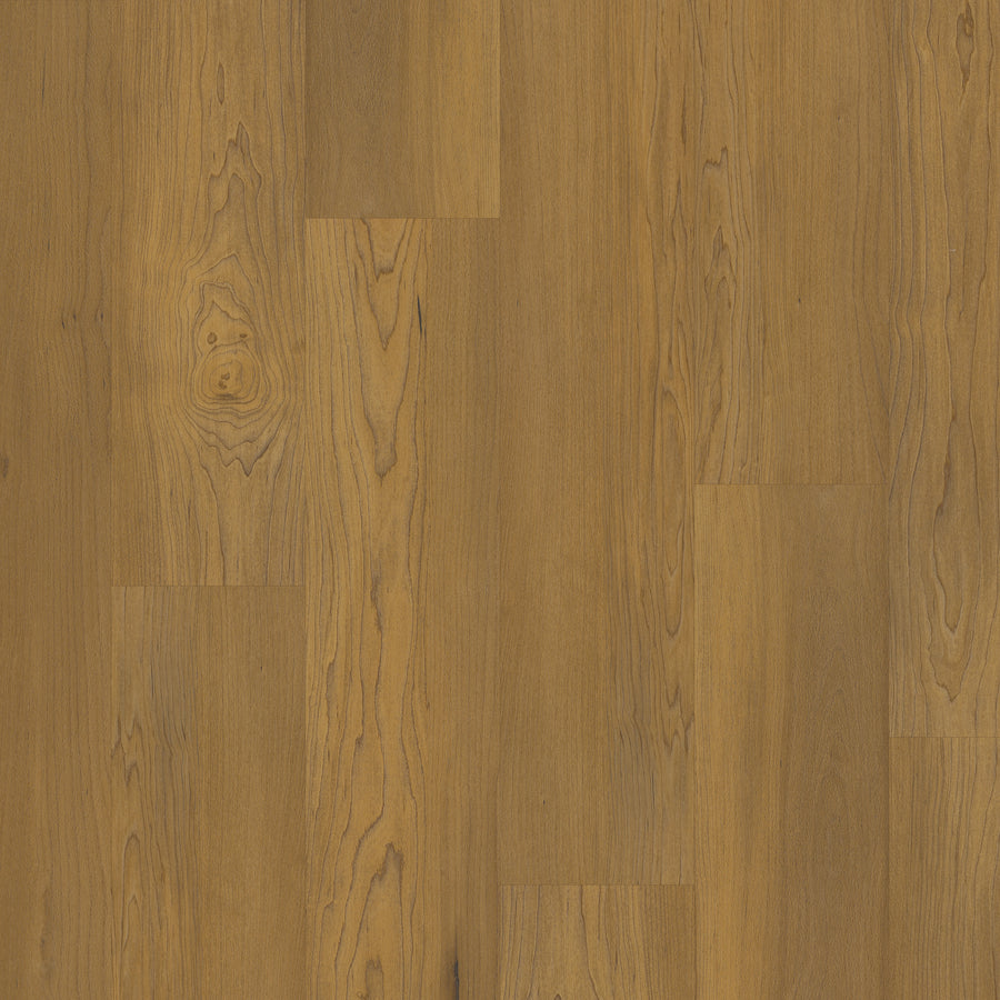 Close-up of Coretec Pro Plus HD 7" Vinyl Plank in a warm brown shade, showcasing visible grain patterns and a smooth, matte finish. The staggered, waterproof planks highlight natural wood texture and lasting durability.