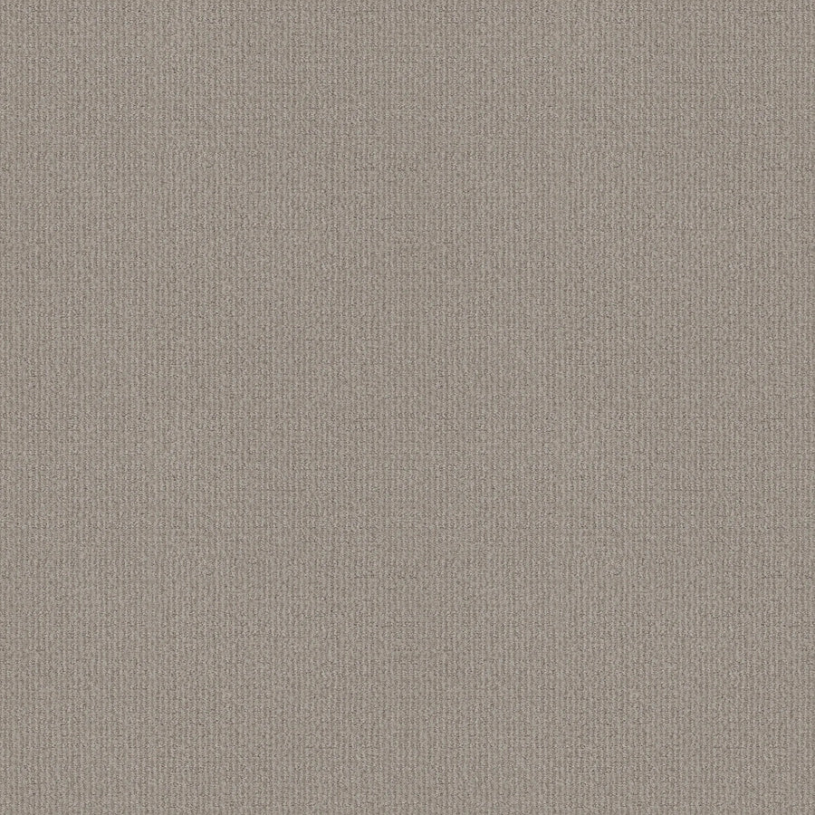 Close-up of Sierra Vista Pet Friendly Carpet in Etched Glass, featuring a soft, woven beige fabric with a subtle vertical ribbed texture. Contemporary and inviting, it offers comfort underfoot and is designed for pet-friendly durability.