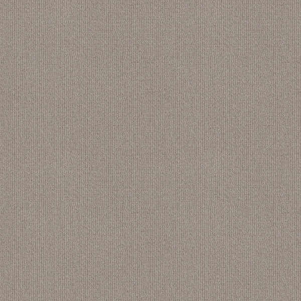 Close-up of Sierra Vista Pet Friendly Carpet in Etched Glass, featuring a soft, woven beige fabric with a subtle vertical ribbed texture. Contemporary and inviting, it offers comfort underfoot and is designed for pet-friendly durability.