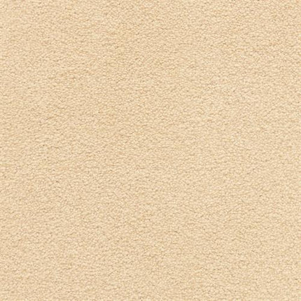 Close-up of Grand Isle Family Friendly Carpet in Everlast—beige with soft, plush texture and tightly packed fibers. Its uniform look and durable feel make it ideal for enhancing any family-friendly space.