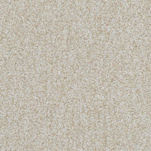 Close-up of Boca Raton Family Friendly Carpet in Everlasting—crafted from premium materials for a soft, uniform, and durable surface. Its tightly woven, slightly fuzzy texture delivers smooth flooring ideal for any room.