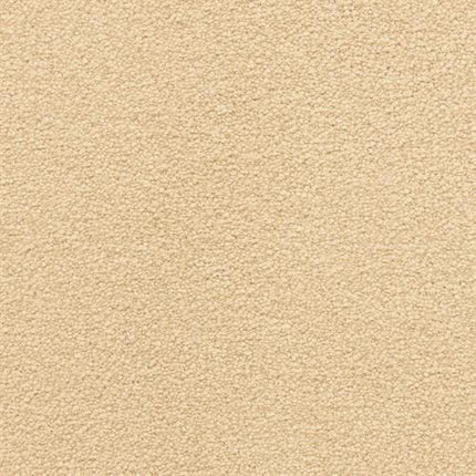 Close-up of Grand Isle Family Friendly Carpet in Fairmont—a beige, textured, durable carpet with a soft, even surface and small, tightly looped fibers ideal for family spaces.