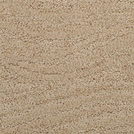 Close-up of Taittinger On Trend Carpet in Falcon color, showcasing a soft, densely packed beige fiber with a subtle wavy textured pattern. This plush yet durable carpet is ideal for high-traffic areas.