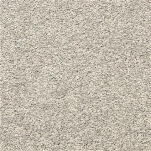 Close-up of Morgan Bay Family Friendly Carpet in Falcon Gray, featuring a loop pile pattern and stain-resistant, soft, textured surface—perfect for family spaces.
